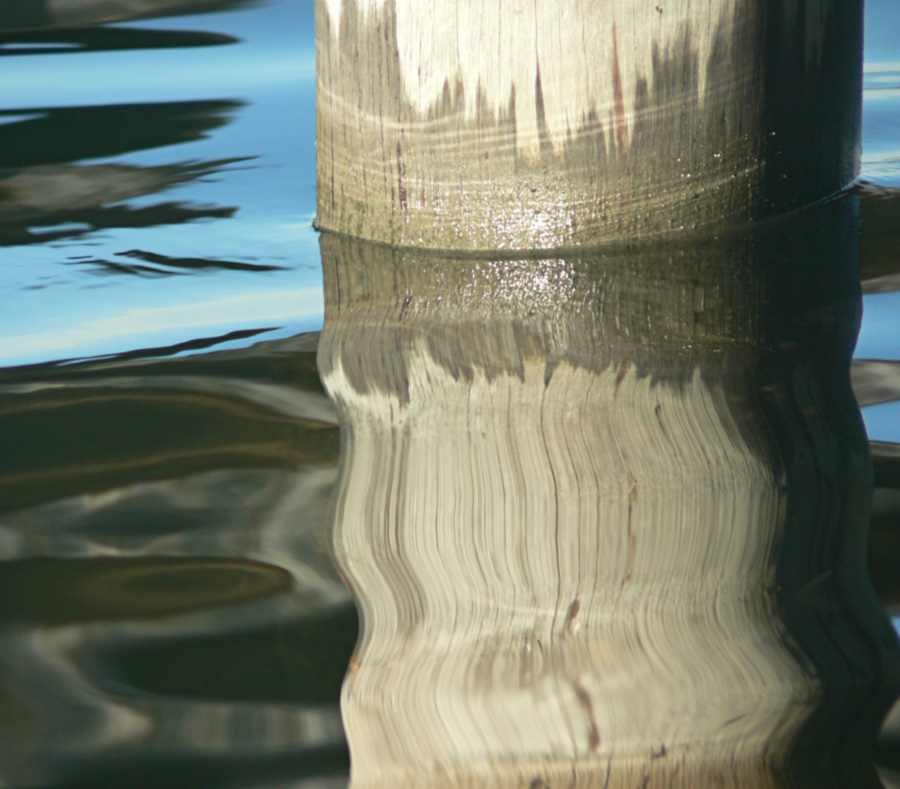 Fotografía por gymp93 para DesignCrowd (Community Contests) | Diseño #9047742