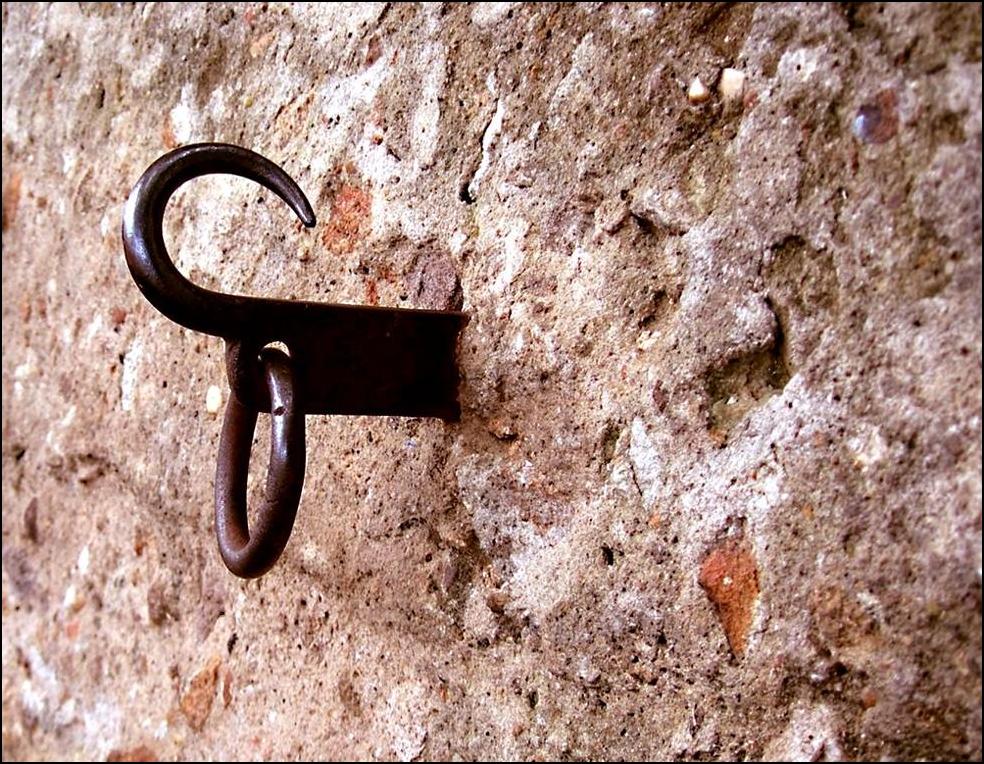 Photography by Isabella2006 for DesignCrowd (Community Contests) | Design #9047588