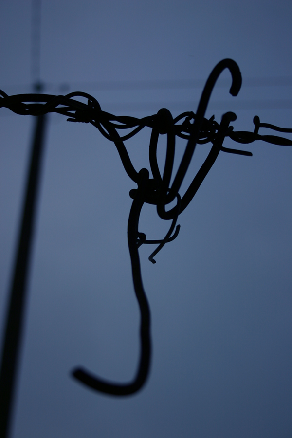 Photographie par akaanestad pour DesignCrowd (Community Contests) | Design #9047598