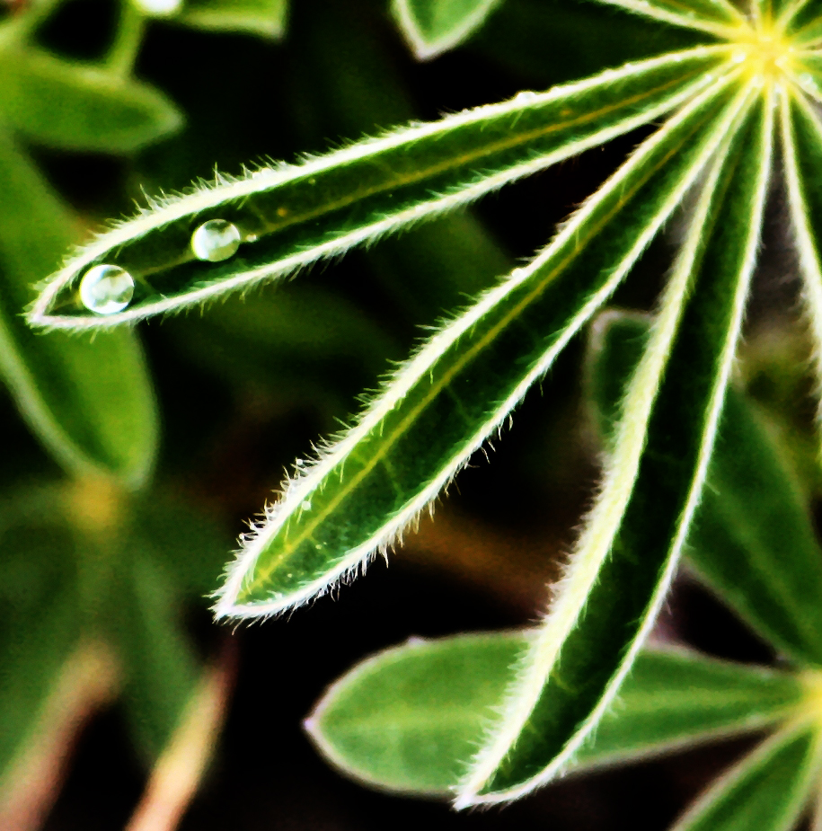 Photography by Maddyy for DesignCrowd (Community Contests) | Design #9047710