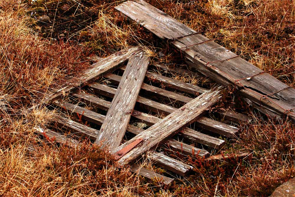 Photography by Maddyy for DesignCrowd (Community Contests) | Design #9052253