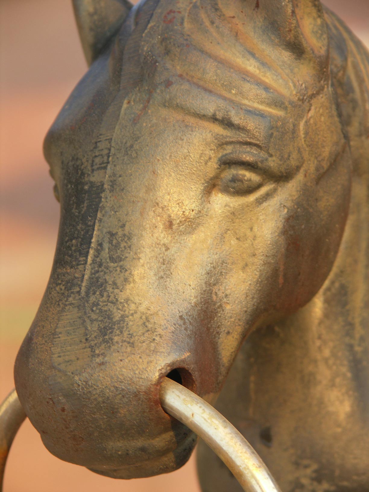 Photography by SpeakingOfAmethyst for DesignCrowd (Community Contests) | Design #9047655