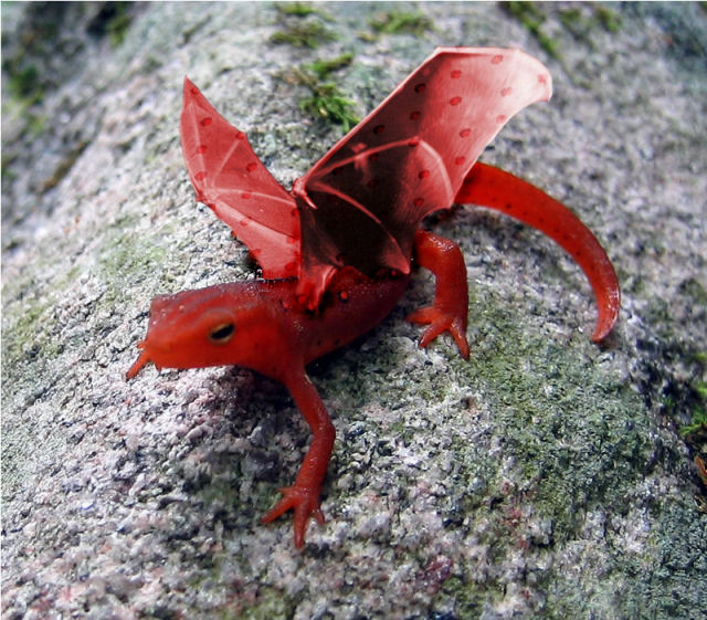 Photoshop Design by Irrwitzer for DesignCrowd (Community Contests) | Design #9046899