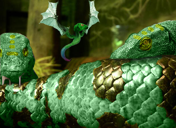 Photoshop Design by squeakytoad for DesignCrowd (Community Contests) | Design #9046908