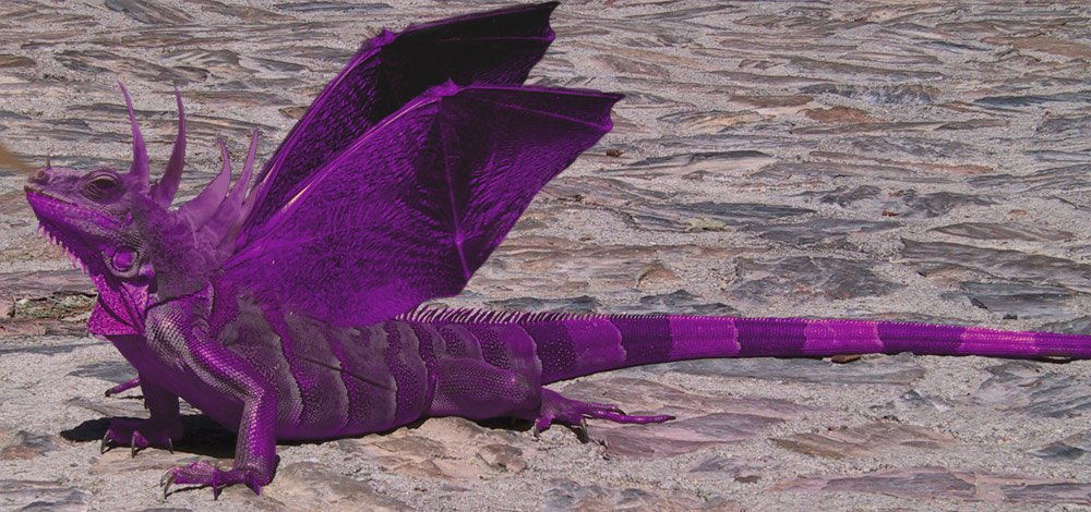 Design Photoshop par ParasiteDemon pour DesignCrowd (Community Contests) | Design #9047055