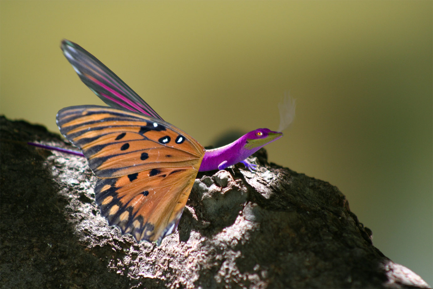 Design Photoshop par matster pour DesignCrowd (Community Contests) | Design #9047013