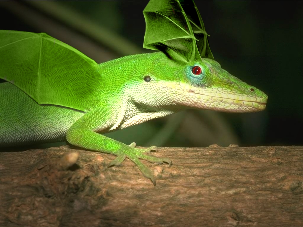 Photoshop Design by moco11 for DesignCrowd (Community Contests) | Design #9047025