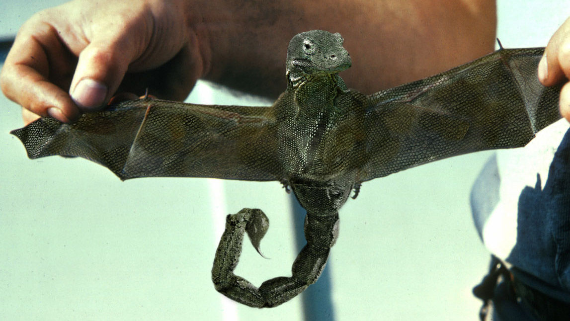 Photoshop Design by ekim1966 for DesignCrowd (Community Contests) | Design #9047009