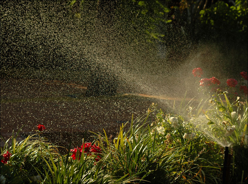 Photographie par kimbomac pour DesignCrowd (Community Contests) | Design #9047881