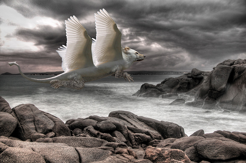 Photoshop Design by Nicky666 for DesignCrowd (Community Contests) | Design #9046982