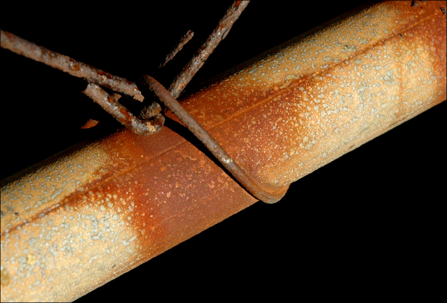 Photography by kimbomac for DesignCrowd (Community Contests) | Design #9047738