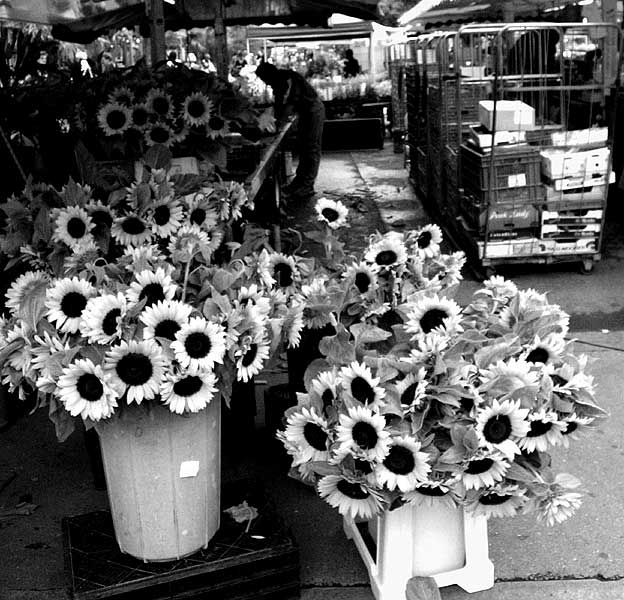 Photographie par Ritu26 pour DesignCrowd (Community Contests) | Design #9049051