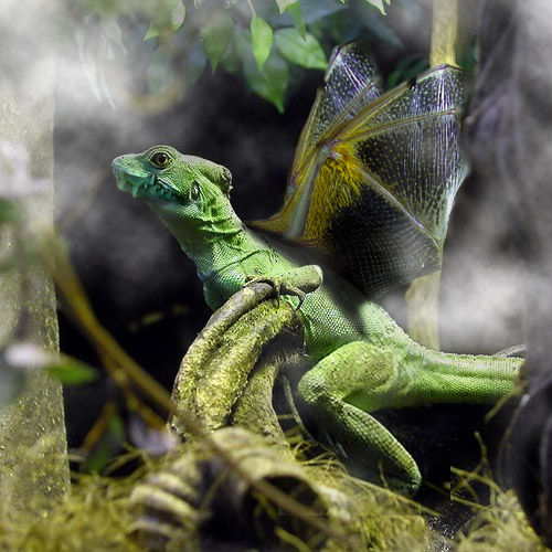 Diseño de Photoshop por dettemelow para DesignCrowd (Community Contests) | Diseño #9047026