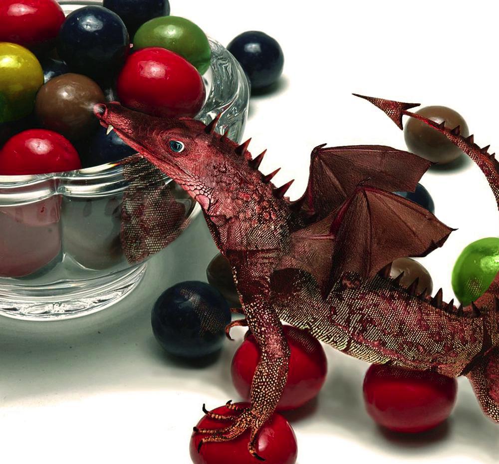 Photoshop Design by sugarcane for DesignCrowd (Community Contests) | Design #9047250