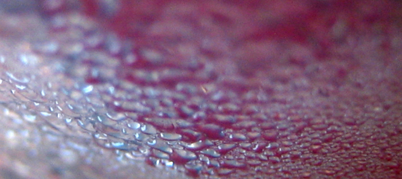 Photography by u2one1 for DesignCrowd (Community Contests) | Design #9047930