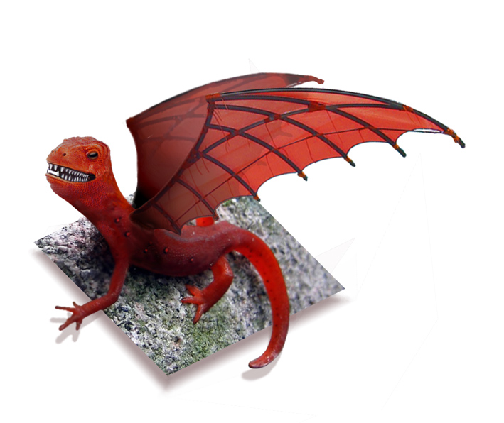 Diseño de Photoshop por paperlily para DesignCrowd (Community Contests) | Diseño #9047298