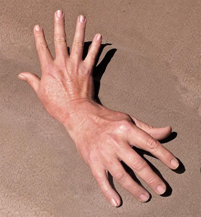 Photoshop Design by ozplasmic for DesignCrowd (Community Contests) | Design #9044742