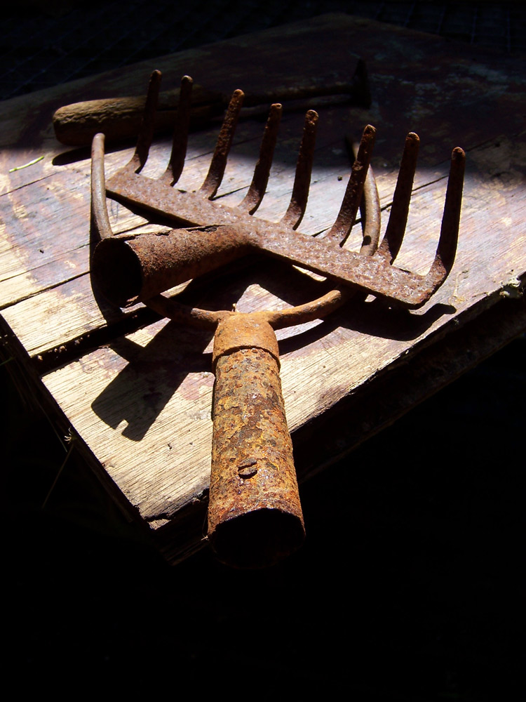 Photography by DutchPuh for DesignCrowd (Community Contests) | Design #9047863