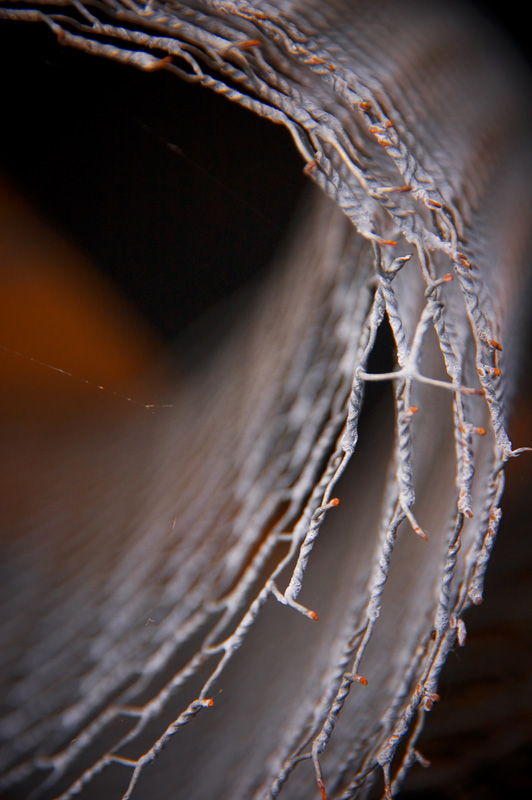 Photography by Marian for DesignCrowd (Community Contests) | Design #9047704