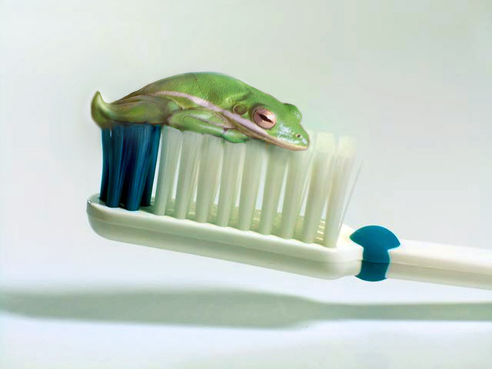 Diseño de Photoshop por Dylkan para DesignCrowd (Community Contests) | Diseño #9051998