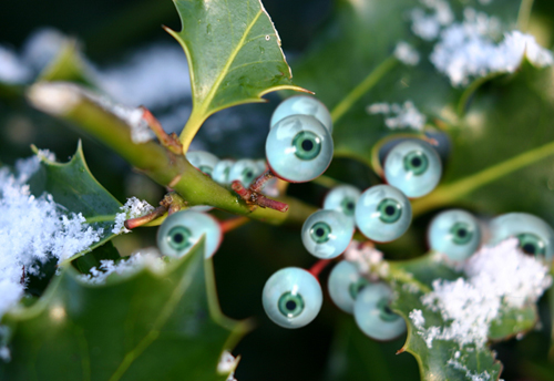 Photoshop Design by purplemosh for DesignCrowd (Community Contests) | Design #9051988