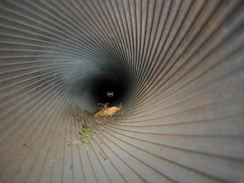 Photography by CheckMinus for DesignCrowd (Community Contests) | Design #9047715