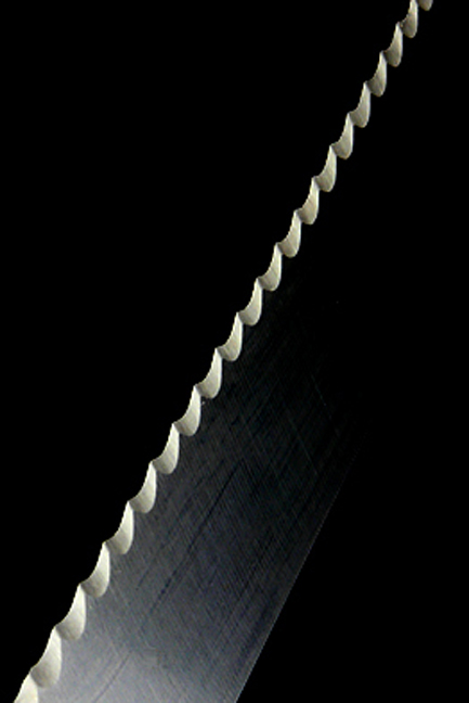 Photography by droomluiperd for DesignCrowd (Community Contests) | Design #9047763