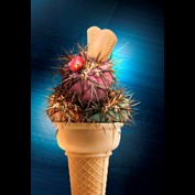 Photoshop Design by marcusbehrmann