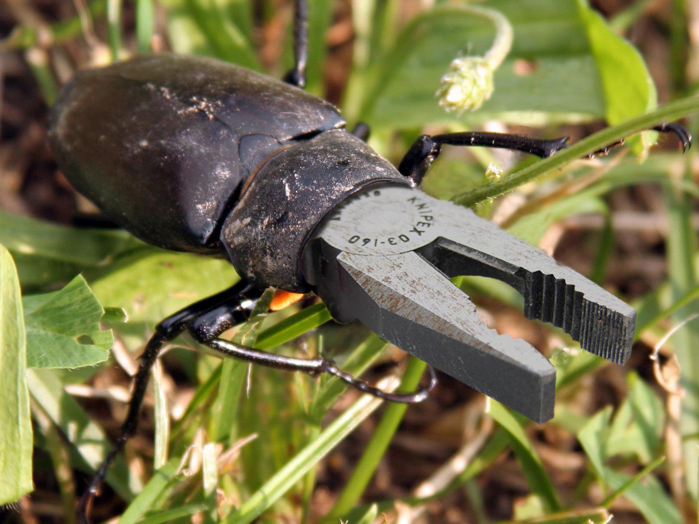 Design Photoshop par spiraleye pour DesignCrowd (Community Contests) | Design #9052064