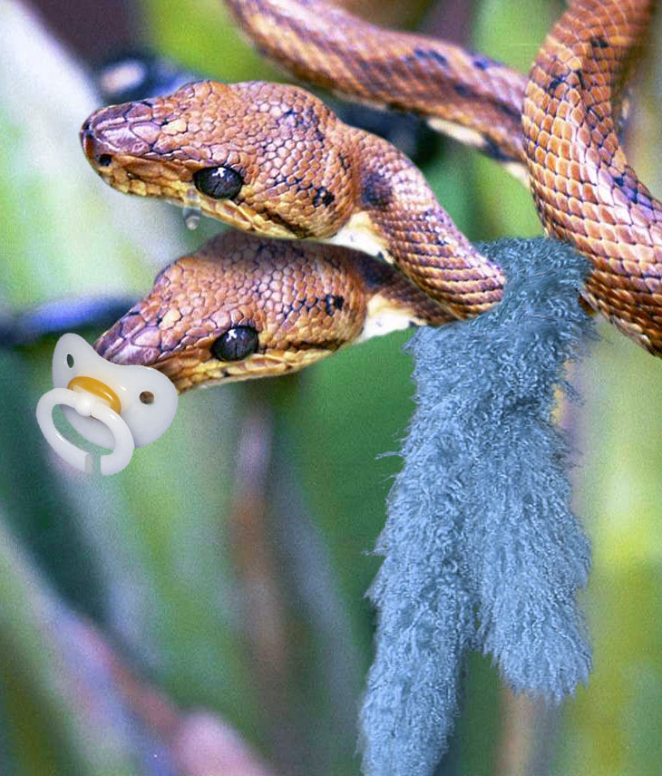 Photoshop Design by ekim1966 for DesignCrowd (Community Contests) | Design #9051702