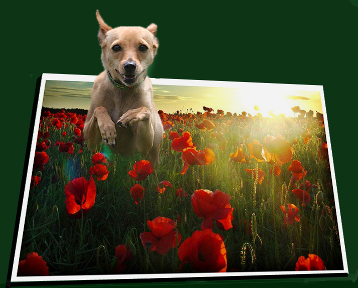 Photoshop Design by fowlball for DesignCrowd (Community Contests) | Design #9051707