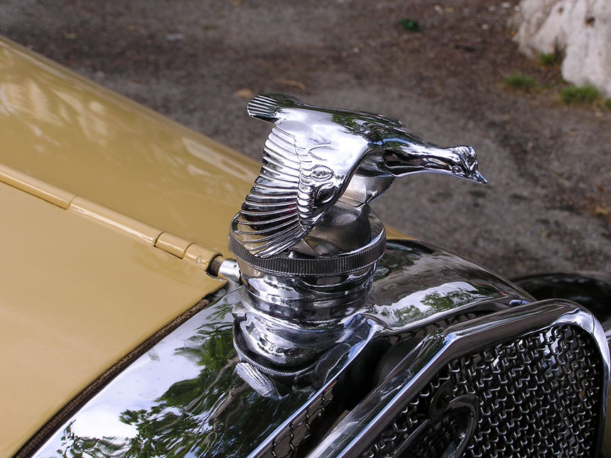 Fotografía por clara1156 para DesignCrowd (Community Contests) | Diseño #9047875