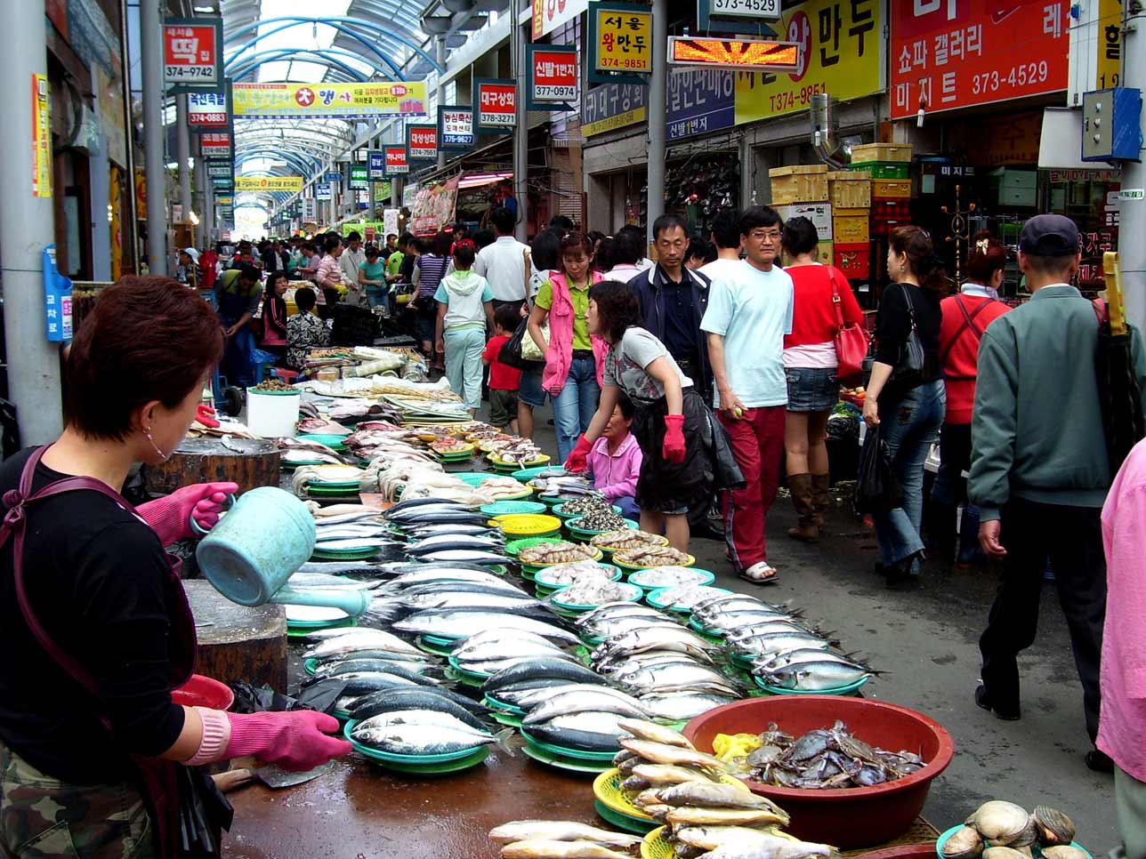 Photography by JillMarie for DesignCrowd (Community Contests) | Design #9049111