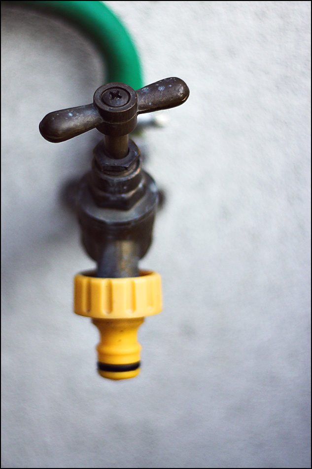 Photographie par MrNelson pour DesignCrowd (Community Contests) | Design #9047672