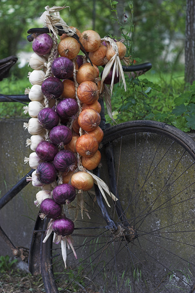 Photography by Dragon60 for DesignCrowd (Community Contests) | Design #9047118