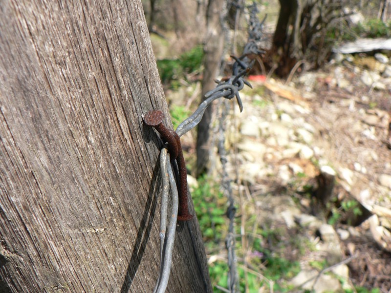 Fotografía por martuk para DesignCrowd (Community Contests) | Diseño #9047759