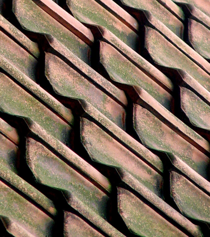 Photography by ljvgtj for DesignCrowd (Community Contests) | Design #9052404