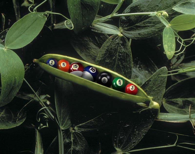 Photoshop-Design von h2oscienceguy081 für DesignCrowd (Community Contests) | Design #9052124