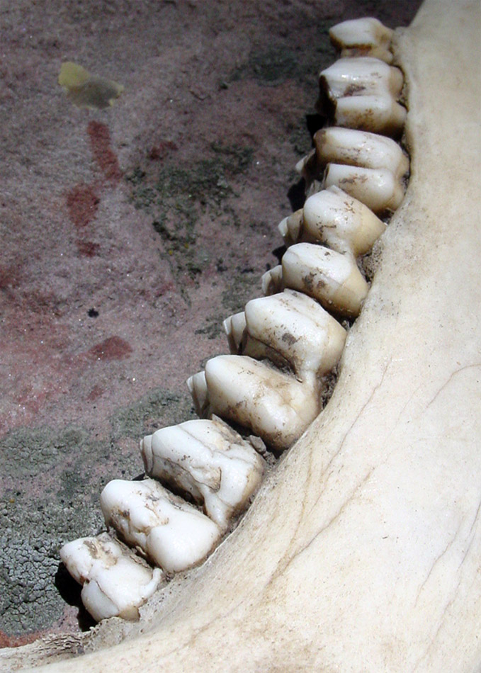 Photography by mysterio for DesignCrowd (Community Contests) | Design #9052359