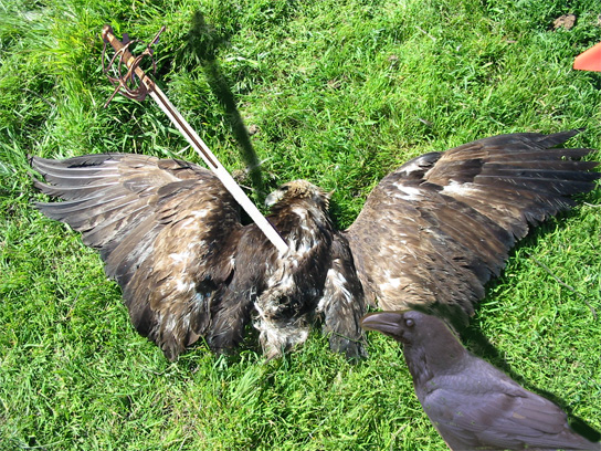 Photoshop Design by jbliss2006 for DesignCrowd (Community Contests) | Design #9051735