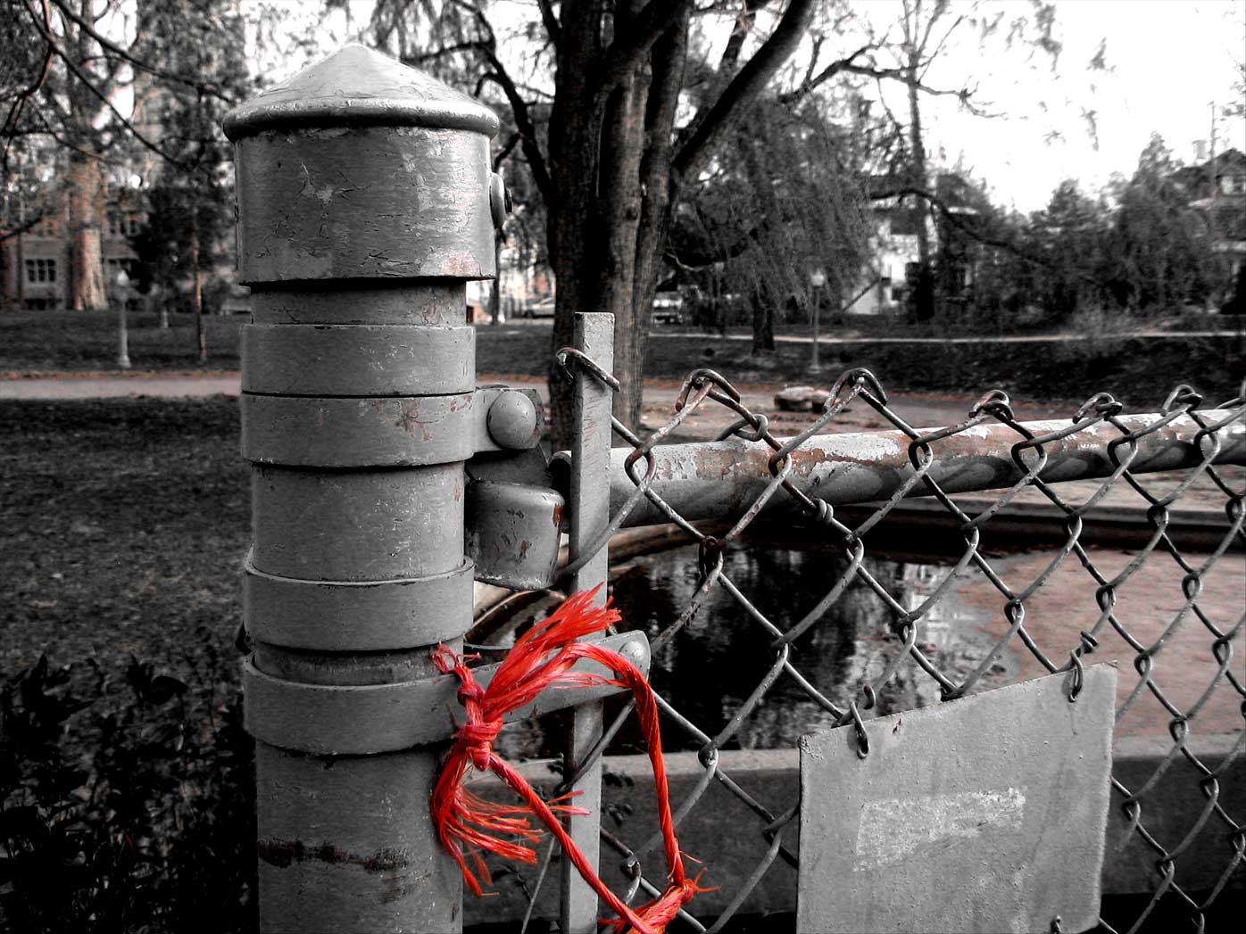 Photography by DoubleDizzle for DesignCrowd (Community Contests) | Design #9047997