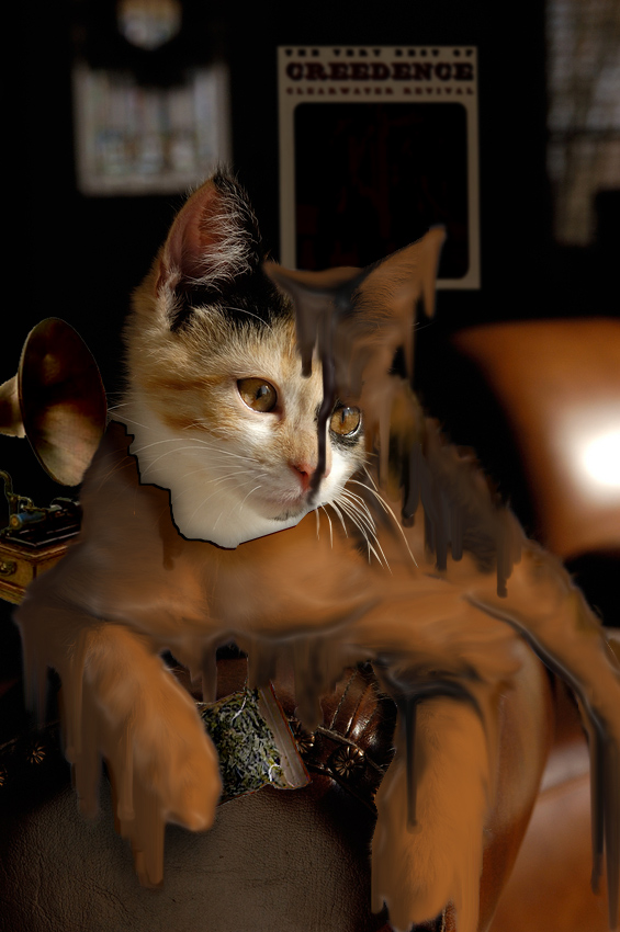 Photoshop Design by Spacejunk for DesignCrowd (Community Contests) | Design #9051761