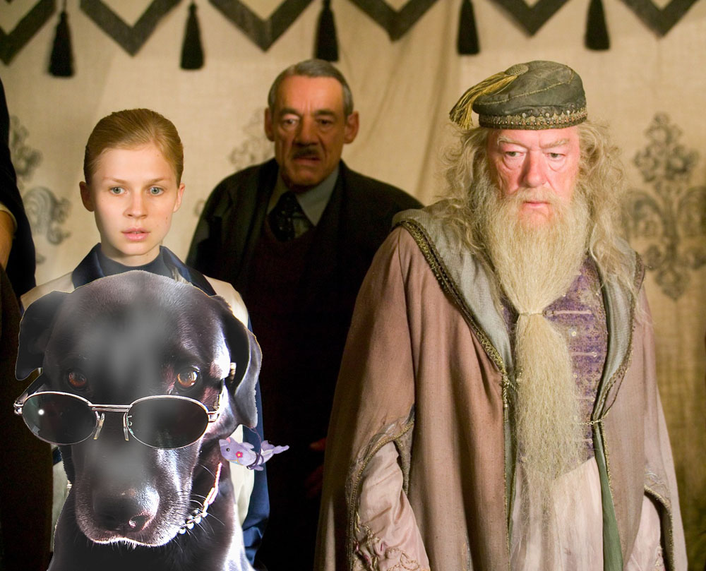 Photoshop Design by Mbeernink for DesignCrowd (Community Contests) | Design #9051756