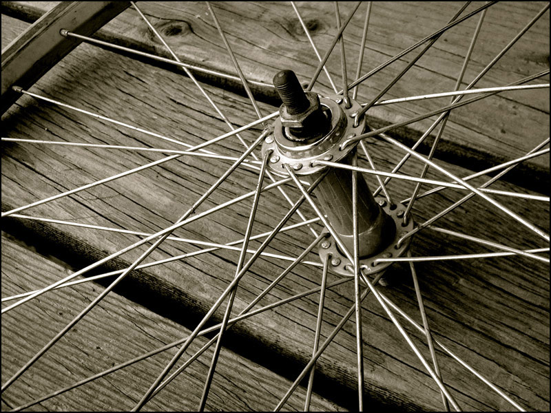 Photography by nowheregirl for DesignCrowd (Community Contests) | Design #9048019