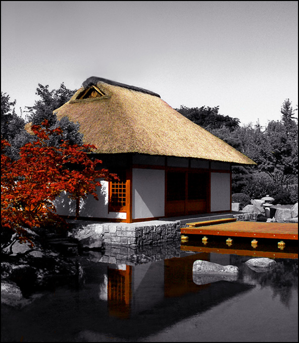 Fotografía por Ronbrandt para DesignCrowd (Community Contests) | Diseño #9051477