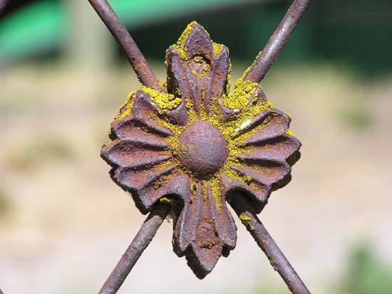 Fotografie von klxner für DesignCrowd (Community Contests) | Design #9047926