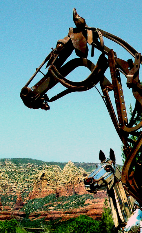 Photography by Meesch for DesignCrowd (Community Contests) | Design #9047981