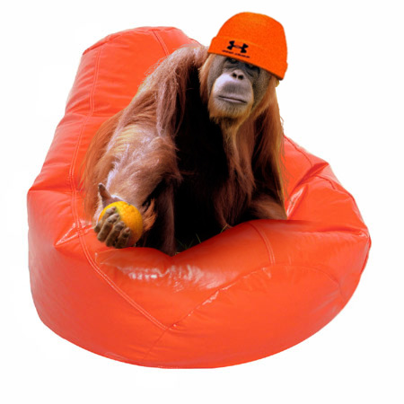 Diseño de Photoshop por Deborahb para DesignCrowd (Community Contests) | Diseño #9051866