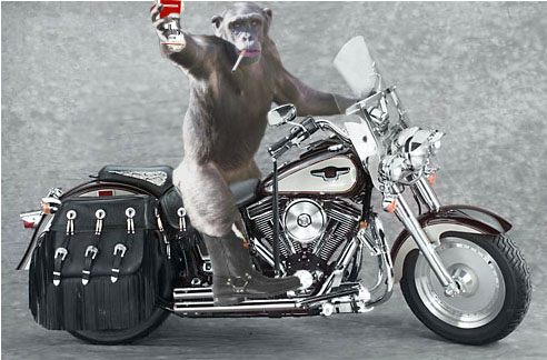 Design Photoshop par killermine pour DesignCrowd (Community Contests) | Design #9051902