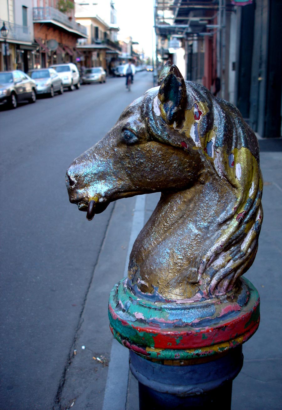 Photography by Spacejunk for DesignCrowd (Community Contests) | Design #9048043